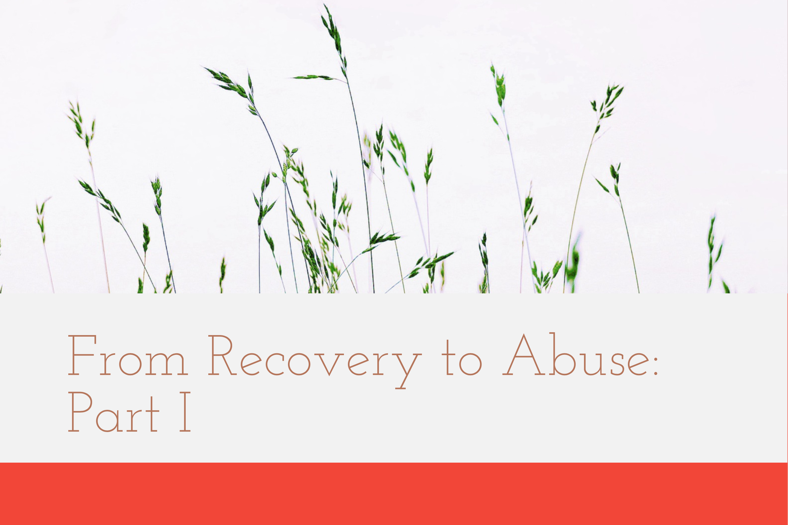 From Recovery to Abuse: Part I